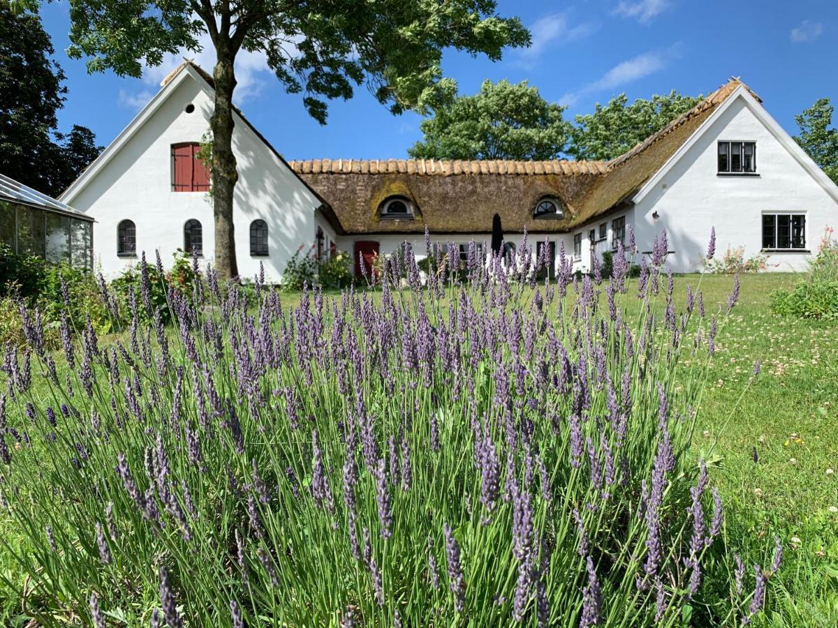 Mariegaardens Gaestehuse Hillerod Exterior photo